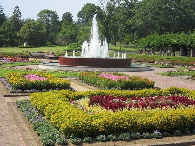 🌳 나카 럭키FM 공원(나카 럭키에프엠 코엔) 이미지 1